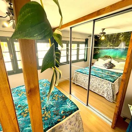 Lejlighedshotel 365 Sunshine Tenerife Costa Adeje (Tenerife)